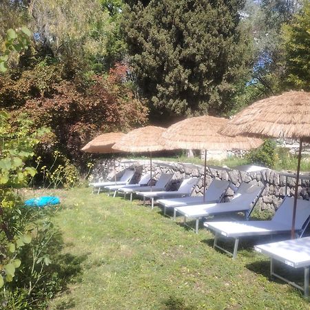 Domaine Des Petites Soeurs A 800M Du Centre Historique Avec 5200M2 De Parc Arbore Vence Exterior foto